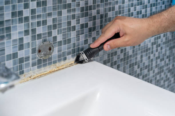 Reliable Elkhart, IN Mold Removal Solutions